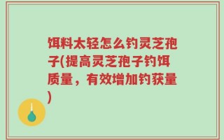 饵料太轻怎么钓灵芝孢子(提高灵芝孢子钓饵质量，有效增加钓获量)