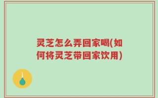 灵芝怎么弄回家喝(如何将灵芝带回家饮用)