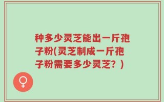 种多少灵芝能出一斤孢子粉(灵芝制成一斤孢子粉需要多少灵芝？)