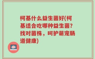 柯基什么益生菌好(柯基适合吃哪种益生菌？找对菌株，呵护萌宠肠道健康)