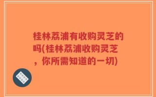 桂林荔浦有收购灵芝的吗(桂林荔浦收购灵芝，你所需知道的一切)