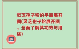 灵芝孢子粉的平面展开图(灵芝孢子粉展开图，全面了解其功效与用途)