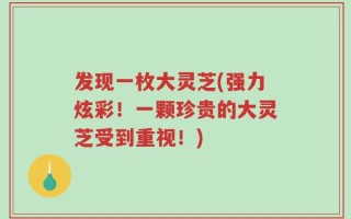 发现一枚大灵芝(强力炫彩！一颗珍贵的大灵芝受到重视！)