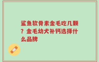 鲨鱼软骨素金毛吃几颗？金毛幼犬补钙选择什么品牌
