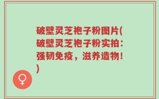 破壁灵芝袍子粉图片(破壁灵芝袍子粉实拍：强韧免疫，滋养造物！)