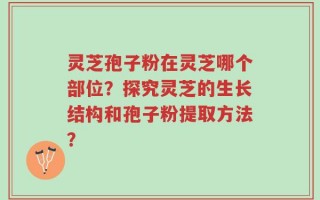 灵芝孢子粉在灵芝哪个部位？探究灵芝的生长结构和孢子粉提取方法？