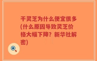干灵芝为什么便宜很多(什么原因导致灵芝价格大幅下降？新华社解密)