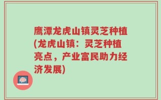 鹰潭龙虎山镇灵芝种植(龙虎山镇：灵芝种植亮点，产业富民助力经济发展)