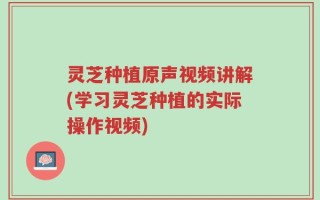 灵芝种植原声视频讲解(学习灵芝种植的实际操作视频)