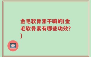 金毛软骨素干嘛的(金毛软骨素有哪些功效？)