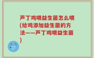 芦丁鸡喂益生菌怎么喂(给鸡添加益生菌的方法——芦丁鸡喂益生菌)