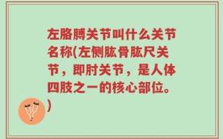 左胳膊关节叫什么关节名称(左侧肱骨肱尺关节，即肘关节，是人体四肢之一的核心部位。)