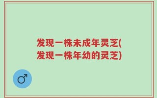 发现一株未成年灵芝(发现一株年幼的灵芝)