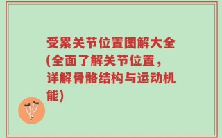 受累关节位置图解大全(全面了解关节位置，详解骨骼结构与运动机能)