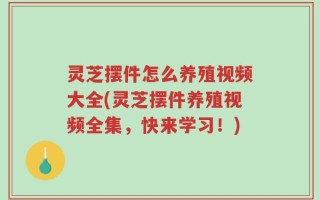 灵芝摆件怎么养殖视频大全(灵芝摆件养殖视频全集，快来学习！)