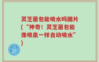 灵芝菌包能喷水吗图片(“神奇！灵芝菌包能像喷泉一样自动喷水”)