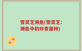 雪灵芝濒危(雪灵芝：濒危中的珍贵菌种)