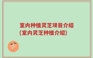 室内种植灵芝项目介绍(室内灵芝种植介绍)