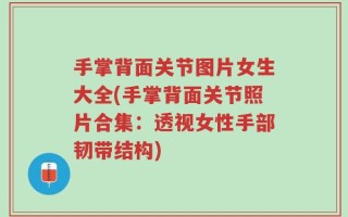 手掌背面关节图片女生大全(手掌背面关节照片合集：透视女性手部韧带结构)