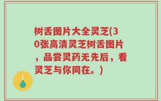 树舌图片大全灵芝(30张高清灵芝树舌图片，品尝灵药无先后，看灵芝与你同在。)
