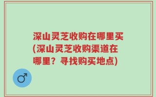 深山灵芝收购在哪里买(深山灵芝收购渠道在哪里？寻找购买地点)