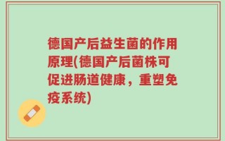 德国产后益生菌的作用原理(德国产后菌株可促进肠道健康，重塑免疫系统)