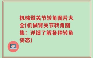 机械臂关节转角图片大全(机械臂关节转角图集：详细了解各种转角姿态)