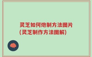 灵芝如何炮制方法图片(灵芝制作方法图解)