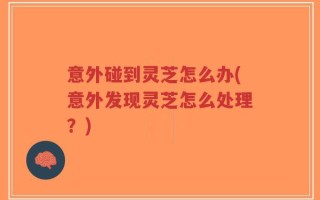 意外碰到灵芝怎么办(意外发现灵芝怎么处理？)
