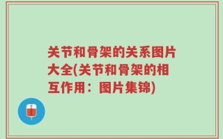 关节和骨架的关系图片大全(关节和骨架的相互作用：图片集锦)