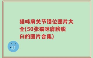 猫咪肩关节错位图片大全(50张猫咪肩膀脱臼的图片合集)