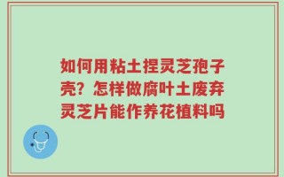 如何用粘土捏灵芝孢子壳？怎样做腐叶土废弃灵芝片能作养花植料吗