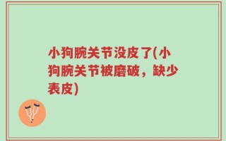 小狗腕关节没皮了(小狗腕关节被磨破，缺少表皮)