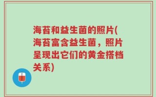 海苔和益生菌的照片(海苔富含益生菌，照片呈现出它们的黄金搭档关系)