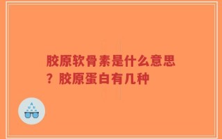 胶原软骨素是什么意思？胶原蛋白有几种