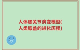 人体膝关节演变模型(人类膝盖的进化历程)