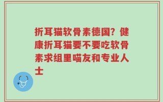折耳猫软骨素德国？健康折耳猫要不要吃软骨素求组里喵友和专业人士