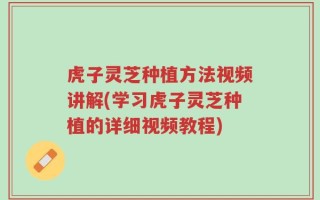虎子灵芝种植方法视频讲解(学习虎子灵芝种植的详细视频教程)