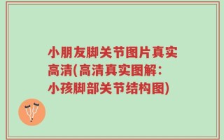 小朋友脚关节图片真实高清(高清真实图解：小孩脚部关节结构图)