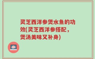 灵芝西洋参煲水鱼的功效(灵芝西洋参搭配，煲汤美味又补身)