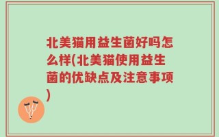 北美猫用益生菌好吗怎么样(北美猫使用益生菌的优缺点及注意事项)