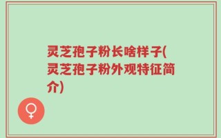 灵芝孢子粉长啥样子(灵芝孢子粉外观特征简介)