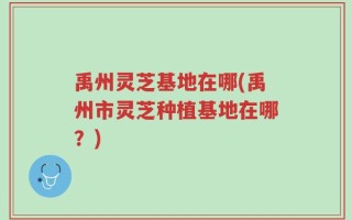 禹州灵芝基地在哪(禹州市灵芝种植基地在哪？)