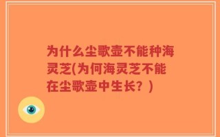 为什么尘歌壶不能种海灵芝(为何海灵芝不能在尘歌壶中生长？)