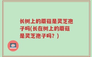 长树上的蘑菇是灵芝孢子吗(长在树上的蘑菇是灵芝孢子吗？)