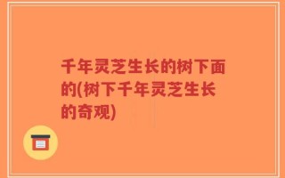 千年灵芝生长的树下面的(树下千年灵芝生长的奇观)