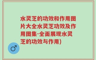 水灵芝的功效和作用图片大全水灵芝功效及作用图集-全面展现水灵芝的功效与作用)