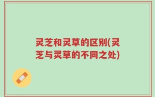 灵芝和灵草的区别(灵芝与灵草的不同之处)