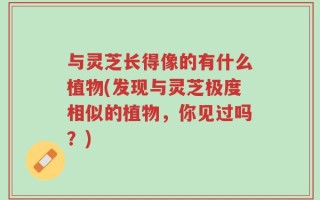 与灵芝长得像的有什么植物(发现与灵芝极度相似的植物，你见过吗？)