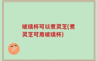 玻璃杯可以煮灵芝(煮灵芝可用玻璃杯)